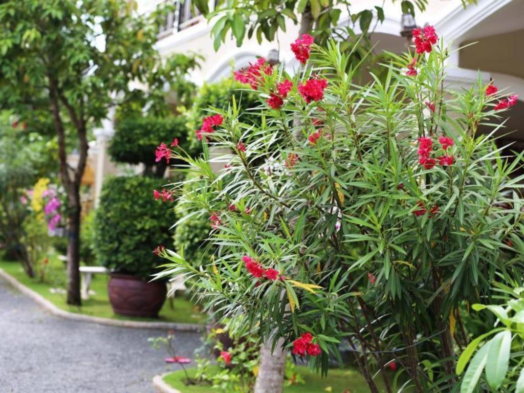 Alice Villa Hotel Takeo Extérieur photo